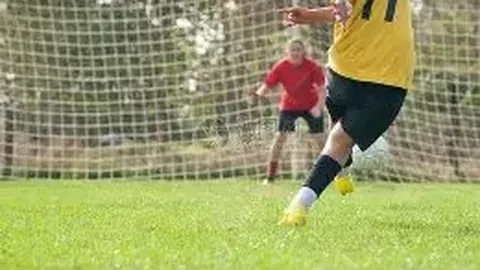 2024年展望：解读《2024年中国机器人产业全貌图》及市场概览、产业链及趋势